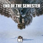 Owl Hunts Mouse | END OF THE SEMESTER; ME | image tagged in owl hunts mouse | made w/ Imgflip meme maker