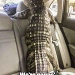 We're gonna be late | Speed up Jerry ! We're gonna'
be late for the
Veteran's Day Parade! | image tagged in alligator_car,funny memes,alligator,veterans day,parade,salute | made w/ Imgflip meme maker