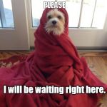 coldpuppy | Stop by
 "Videos and More"
PLEASE; I will be waiting right here. | image tagged in coldpuppy | made w/ Imgflip meme maker