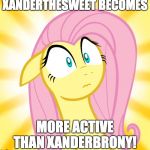 Shocking! | XANDERTHESWEET BECOMES; MORE ACTIVE THAN XANDERBRONY! | image tagged in shocked fluttershy,xanderbrony,xanderthesweet,memes,imgflip | made w/ Imgflip meme maker