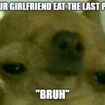 Acid Dog | WHEN YOUR GIRLFRIEND EAT THE LAST PIZZA ROLL; "BRUH" | image tagged in acid dog | made w/ Imgflip meme maker