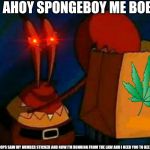 Mr.Krabs | AHOY SPONGEBOY ME BOB; THE COPS SAW MY NUMBER STICKER AND NOW I'M RUNNING FROM THE LAW AND I NEED YOU TO KEEP MY BAG | image tagged in mrkrabs | made w/ Imgflip meme maker