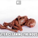 Weak voldemort  | ME; AFTER CLEANING THE HOUSE | image tagged in weak voldemort | made w/ Imgflip meme maker