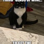 The judgy roommate | YES , YOU NEED A “THIRD” GLASS OF WINE... TO GET THE DISHES DONE | image tagged in the judgy roommate | made w/ Imgflip meme maker