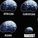 Brain Comparison | RACIST | image tagged in brain comparison | made w/ Imgflip meme maker