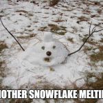 When someone calls me a Boomer | ANOTHER SNOWFLAKE MELTING | image tagged in melted snowman,boomer | made w/ Imgflip meme maker