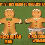 Gingerbread genders | WHY IS THIS HARD TO UNDERSTAND? GINGERBREAD WOMAN; GINGERBREAD MAN | image tagged in gingerbread genders | made w/ Imgflip meme maker