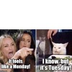 Real housewives screaming cat | I know, but it's Tuesday! It feels like a Monday! | image tagged in real housewives screaming cat | made w/ Imgflip meme maker