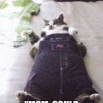 Fat Cat | WHEN YOU FINISH GRANNIES THANKSGIVING DINNER; "MOM, COULD YOU HELP ME GET UP?" | image tagged in memes,fat cat | made w/ Imgflip meme maker
