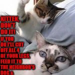 DON'T DO IT | IF YOU DO I'LL CUT OFF ALL 4 OF YOUR LEGS, FEED IT TO THE NEIGHBOR'S DOG & MAKE YOU WATCH HIM EAT THEM! KITTEN, DON'T DO IT! | image tagged in don't do it | made w/ Imgflip meme maker