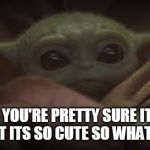 YOU ARE NOT THE FATHER | WHEN YOU'RE PRETTY SURE ITS NOT YOURS BUT ITS SO CUTE SO WHAT THE HECK | image tagged in yoda baby,maury lie detector,star wars yoda,star wars,jedi,baby | made w/ Imgflip meme maker