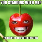 Don who? | YOU STANDING WITH ME? I'M ABOUT TO FALL OUTTA THIS TREE | image tagged in don cherry,meanwhile in canada | made w/ Imgflip meme maker