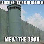 Great Border Wall | MY LITTLE SISTER TRYING TO GET IN MY ROOM; ME AT THE DOOR | image tagged in great border wall | made w/ Imgflip meme maker