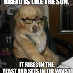 smart dog | BREAD IS LIKE THE SUN. IT RISES IN THE YEAST AND SETS IN THE WAIST | image tagged in smart dog | made w/ Imgflip meme maker