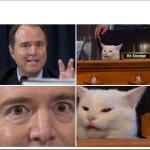 Schiff yelling at cat meme