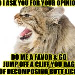 DID I ASK YOU | DID I ASK YOU FOR YOUR OPINION? DO ME A FAVOR & GO JUMP OFF A CLIFF YOU BAG OF DECOMPOSING BUTT LICE! | image tagged in did i ask you | made w/ Imgflip meme maker