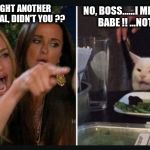 Cracker cat | NO, BOSS......I MEAN BABE !!
BABE !! ...NOT BOSS. YOU BOUGHT ANOTHER EFFECTS PEDAL, DIDN'T YOU ?? | image tagged in cracker cat | made w/ Imgflip meme maker