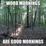 This was a good morning. | WOOD MORNINGS; ARE GOOD MORNINGS | image tagged in woods | made w/ Imgflip meme maker
