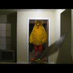 Big bird kicks down door