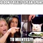 You don't really speak SpanishT,=u Mientes!!! | YOU DON'T REALLY SPEAK SPANISH; TU MIENTES!!! | image tagged in women upset at cat | made w/ Imgflip meme maker