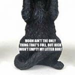 Constipated Cat | MOON AIN'T THE ONLY THING THAT'S FULL. BUT RICK WON'T EMPTY MY LITTER BOX! | image tagged in constipated cat | made w/ Imgflip meme maker