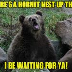 Sarcastic Bear | THERE'S A HORNET NEST UP THERE; I BE WAITING FOR YA! | image tagged in sarcastic bear,memes,fun | made w/ Imgflip meme maker