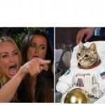 WOMAN YELLING AT CAT  ASTRONAUT