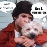 Ok, Here's Boomer | image tagged in it's ok boomer,heres boomer,tv show,dog,satire,ok boomer memes | made w/ Imgflip meme maker