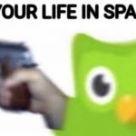 Duolingo gun | BEG YOUR LIFE IN SPANISH | image tagged in duolingo gun | made w/ Imgflip meme maker
