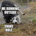 moonmoon | ME RUNNING OUTSIDE; SNAKE
HOLE | image tagged in moonmoon | made w/ Imgflip meme maker