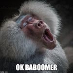 When you act like a baboon's ass. | OK BABOOMER | image tagged in baboon oh,boomer | made w/ Imgflip meme maker