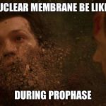 Peter Parker Dust | NUCLEAR MEMBRANE BE LIKE... DURING PROPHASE | image tagged in peter parker dust | made w/ Imgflip meme maker