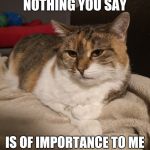 Aristocat | NOTHING YOU SAY; IS OF IMPORTANCE TO ME | image tagged in aristocat | made w/ Imgflip meme maker