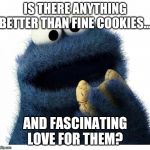 Cookie Monster Love Story | IS THERE ANYTHING BETTER THAN FINE COOKIES... AND FASCINATING LOVE FOR THEM? | image tagged in cookie monster love story | made w/ Imgflip meme maker