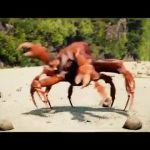 Crab GIF Template