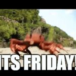 Friday!!! | ITS FRIDAY! | image tagged in gifs,crab rave | made w/ Imgflip video-to-gif maker