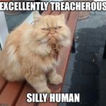 Excellently Treacherous | EXCELLENTLY TREACHEROUS; SILLY HUMAN | image tagged in excellently treacherous | made w/ Imgflip meme maker