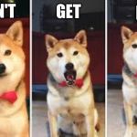3 shiba's | GET; IT; I DON'T | image tagged in 3 shiba's | made w/ Imgflip meme maker