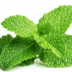 Fuckin mint