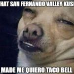 Even Doggos Get the Munchies - And Even Doggos Enjoy Eating Taco Bell When They Have the Munchies! | THAT SAN FERNANDO VALLEY KUSH; MADE ME QUIERO TACO BELL | image tagged in too dank,taco bell,smoke weed everyday,doggos | made w/ Imgflip meme maker