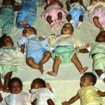 Jonestown Nursery