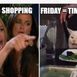 Drunk lady and cat | FRIDAY = TIMECARDS; FRIDAY = SHOPPING | image tagged in drunk lady and cat | made w/ Imgflip meme maker