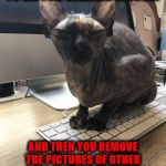 APOLOGIZE HOOMAN | NO HOOMAN! YOU APOLOGIZE TO ME FOR CALLING ME UGLY; AND THEN YOU REMOVE THE PICTURES OF OTHER CATS FROM YOUR PHONE THEN YOU CAN GET ON COMPUTER! | image tagged in apologize hooman | made w/ Imgflip meme maker