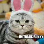 bunny | IM TRANS BUNNY | image tagged in bunny | made w/ Imgflip meme maker