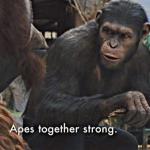 gif apes strong together