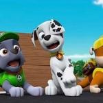 Paw Patrol Shocked Rocky, Marshall, and Rubble