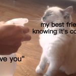 Bad kitty | my best friend knowing it's coming; "i love you" | image tagged in bad kitty | made w/ Imgflip meme maker