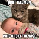 baby with cat | DONT TELL MOM; WHO BROKE THE VASE | image tagged in baby with cat | made w/ Imgflip meme maker