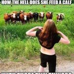 Flashing Cows(?) | HOW THE HELL DOES SHE FEED A CALF; WITH THOSE TINY THINGS? | image tagged in flashing cows | made w/ Imgflip meme maker