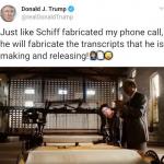 Schiff Fabricated Transcripts